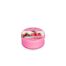 Country Candle Dragonfruit Lemonade Daylight