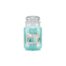 Country Candle Baby it's cold outside giara grande
