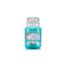 Country Candle Coconut Colada giara grande