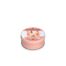 Country Candle Grapefruit Rosemary Daylight