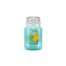 Country Candle Mango Nectar giara grande
