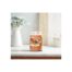 Yankee Candle Cinnamon Stick giara grande